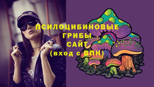 бошки Усолье-Сибирское