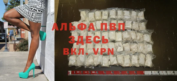 spice Усинск