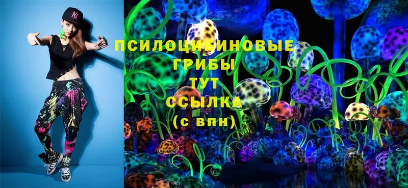 Псилоцибиновые грибы Cubensis  площадка как зайти  Грайворон 